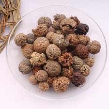 trái/quả ré là dược liệu thảo đậu khấu. (Các ảnh trên: st