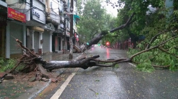 8 - Nhìn lại 8 cơn bão ám ảnh nhất đổ bộ vào Việt Nam trong những năm qua 