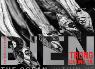 Biển trong chúng ta (The Ocean within us) – Tác giả: Nhiếp ảnh gia Mỹ Dũng – Kỳ 1 Biển trong chúng ta (The Ocean within us) - Tác giả: Nhiếp ảnh gia Mỹ Dũng - Kỳ 1