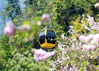 Những trải nghiệm nhất định không thể bỏ qua ở Sun World Ba Na Hills dịp này