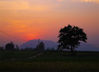 Nơi đây từng có một dòng sông - Tác giả Hoàng Hải Phương