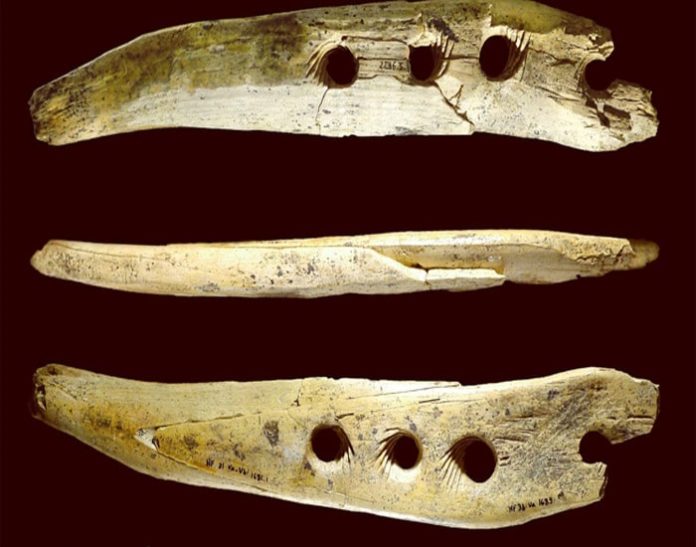 Công cụ 40.000 năm tuổi bằng ngà voi ma mút - Lịch Sử - vansudia.net