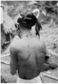 Phụ nữ Cơ Tu năm 1938 (Trong Les chasseurs de sang, Le Pichon)                          (Cliché : Champrosay)                     Đầu tóc búi tó với nanh heo và lược bằng kim loại     