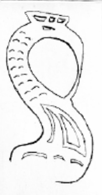 Biểu   tượng rau dớn (Ảnh: Le Pichon, 1938)