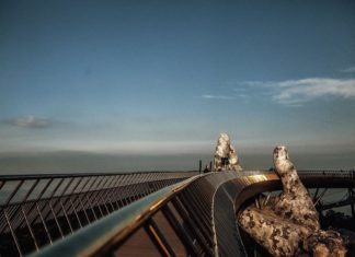 Cầu Vàng - sứ giả đưa Việt Nam đến với thế giới giữa thời Covid-19