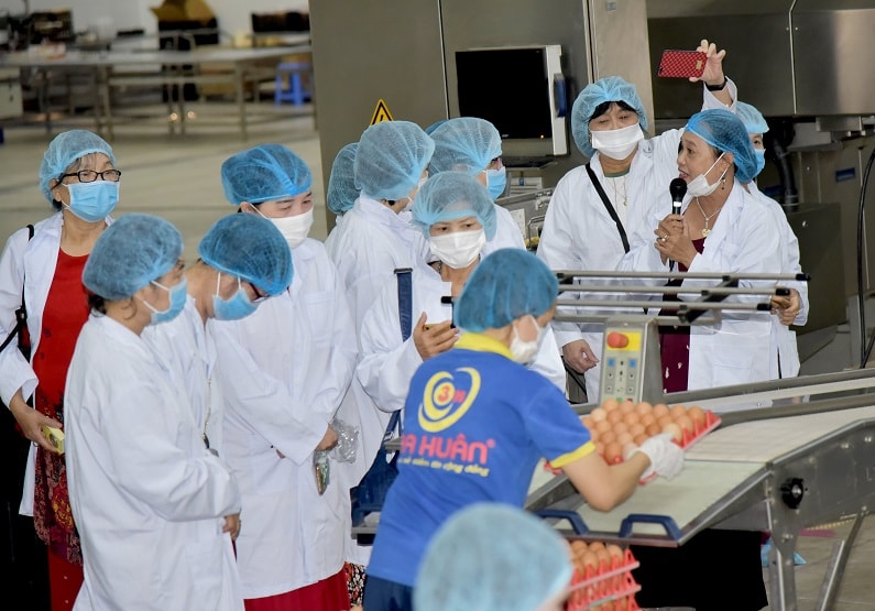 các nhà văn tham quan dây chuyền sản xuất trứng sạch Ba Huân