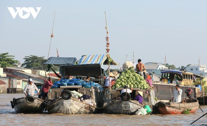 6 - Chợ nổi Cái Răng – Nét độc đáo nơi sông nước Miền Tây