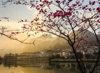 Không ai nghĩ Fansipan có mùa hoa đào đẹp đến như thế này - Giới Thiệu
