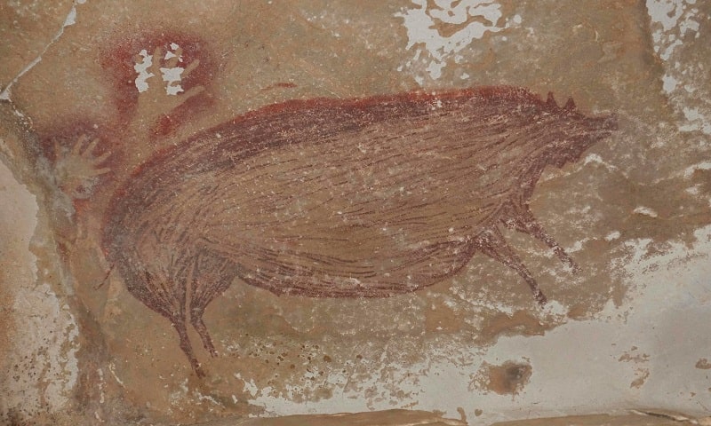 Bức tranh lợn (con lợn 1) được định niên đại ít nhất 45. 500 năm trước ở Leang Tedongnge [Chụp bởi: AA Oktaviana]