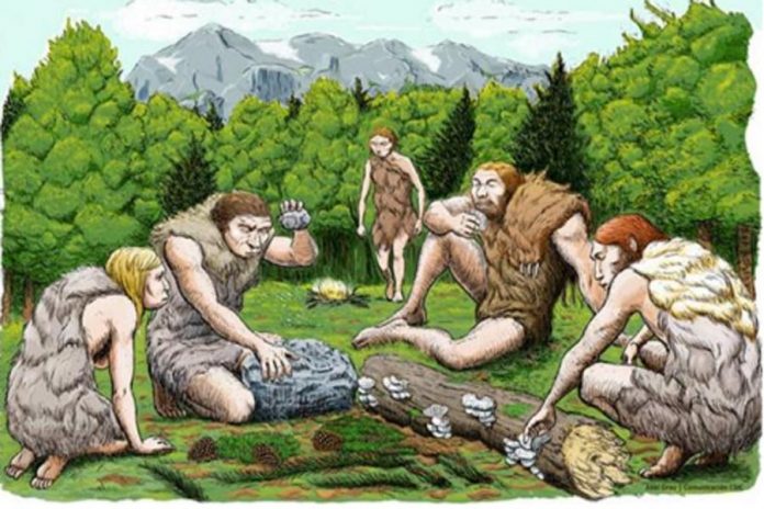 Người Neanderthal: Những hiểu lầm lớn nhất - Lịch Sử - vansudia.net Người Neanderthal: Những hiểu lầm lớn nhất - Lịch Sử - vansudia.net