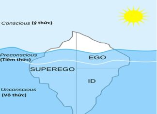Ý thức và vô thức Ý thức và vô thức - Văn Hóa Nghệ Thuật - vansudia.net