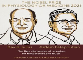 Giải Nobel Y học năm 2021 vinh danh hai nhà khoa học người Mỹ David Julius và Ardem Patapoutian