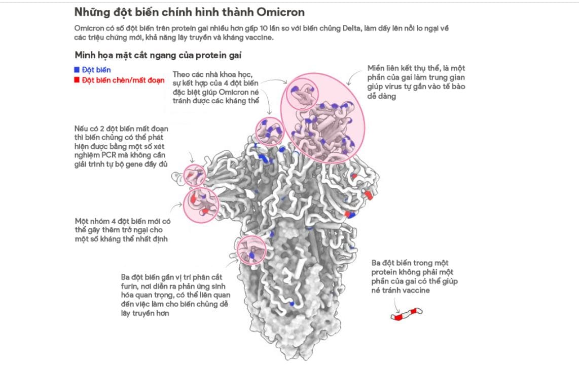 Các đột biến chính của biến chủng Omicron: Ảnh: Financial Times. Các đột biến chính của biến chủng Omicron: Ảnh: Financial Times.