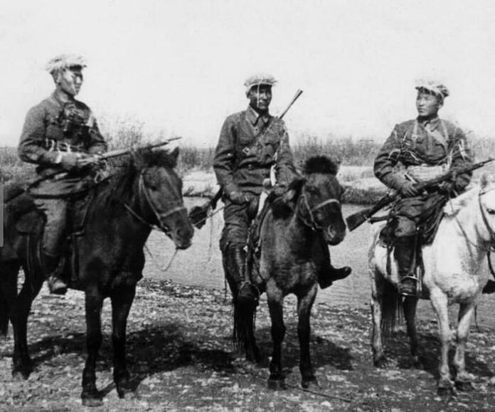 Những con ngựa mà Mông Cổ lùn viện trợ cho Liên Xô, có cơ thể rắn rỏi và đôi chân ngắn cùng những móng guốc nhỏ khỏe