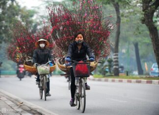 Dự kiến các ngày nghỉ lễ, Tết năm 2022 - VSD Giới Thiệu