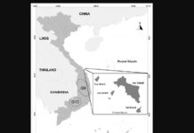 Phát hiện thú vị về hiện tượng biến thiên hình thái do cách ly địa lý của loài sóc ít biết tại đảo Hòn Lao thuộc quần đảo Cù Lao Chàm, miền Trung Việt Nam