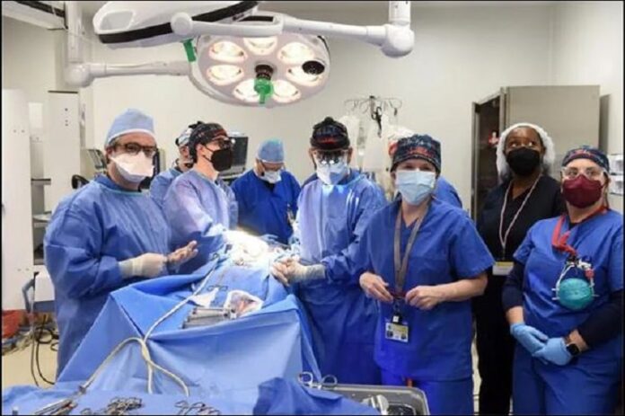 Mỹ thực hiện ca cấy ghép tim lợn cho người đầu tiên - VSD Tư Liệu