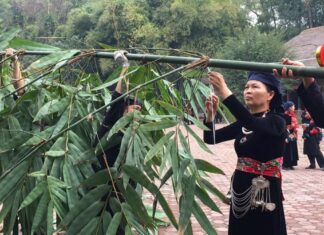 Cây nêu ngày Tết của người Tày, Nùng Cây nêu ngày Tết của người Tày, Nùng - VSD Văn Hóa - Nghệ Thuật