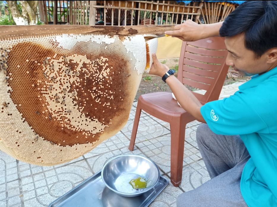 Mật ong rừng U Minh Hạ nổi tiếng đó đây (Ảnh: HH). Mật ong rừng U Minh Hạ nổi tiếng đó đây (Ảnh: HH).