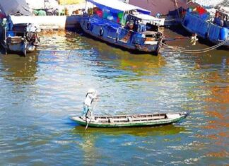 Đến sông Gành Hào tìm điệu hoài lang - VSD Văn Hóa - Đời Sống