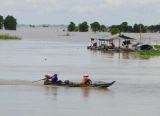 Mực nước sông Mekong cao hơn cùng kỳ nhiều năm gần đây