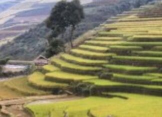Vai trò của nhân tố văn hoá trong nền văn minh