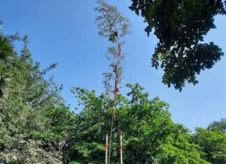 Lễ khai hạ tại lăng Ông Bà Chiểu được công nhận di sản văn hóa phi vật thể