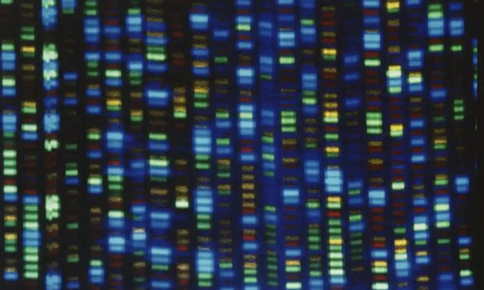 Công bố đột phá bộ gene người hoàn chỉnh đầu tiên
