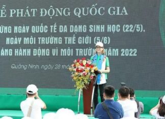 Vì môi trường Việt Nam: Bốn khuyến cáo của UNDP