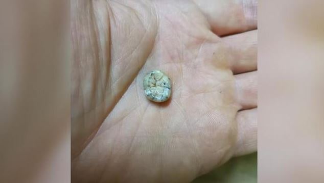 Chiec rang em be duoc phat hien gan day o Lao min - Phát hiện chiếc răng em bé 130.000 tuổi trên núi, các nhà khảo cổ ngỡ ngàng về quá khứ loài người cổ xưa ở Đông Nam Á