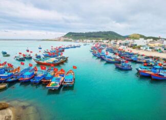 Hướng đến phát triển bền vững kinh tế biển Việt Nam - vansudia.net