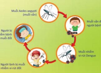 Phòng chống bênh sốt xuất huyết trong mùa hè này