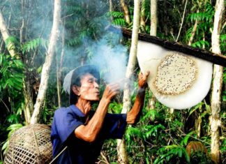 Tháng ba... vào U Minh lấy mật
