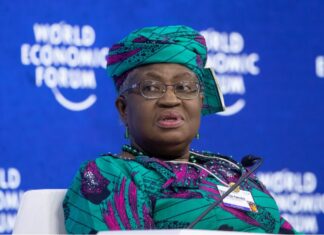 WTO kêu gọi các nước không ngưng hoặc hạn chế xuất khẩu lương thực