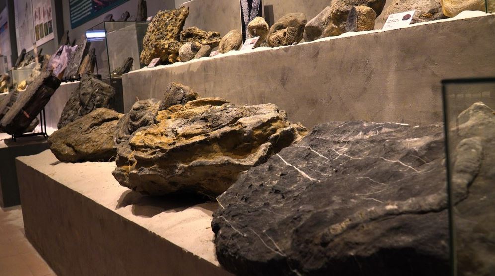 22 min 27 - Phiến đá cổ có niên đại ‘khủng’ 2,9 tỷ năm được trưng bày tại Huế