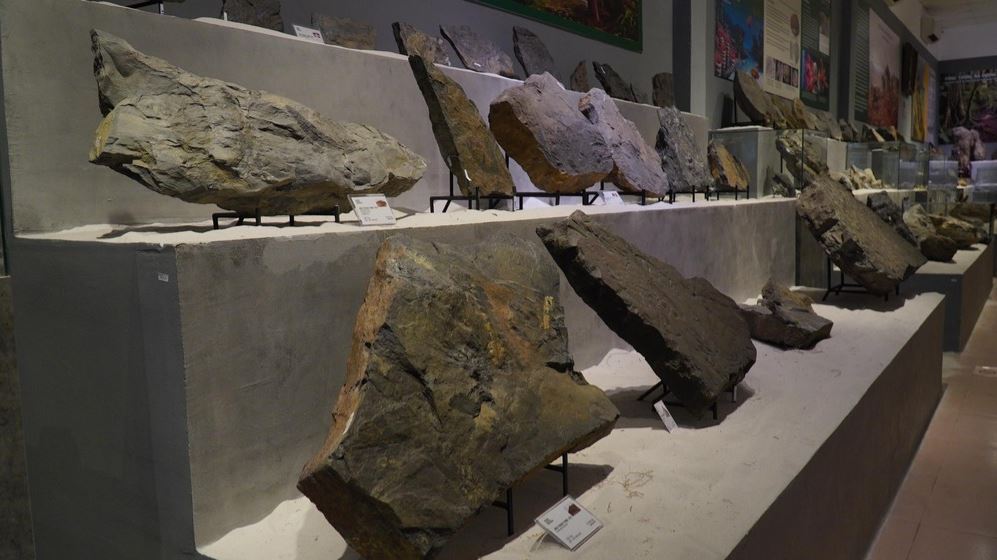 24 min 27 - Phiến đá cổ có niên đại ‘khủng’ 2,9 tỷ năm được trưng bày tại Huế