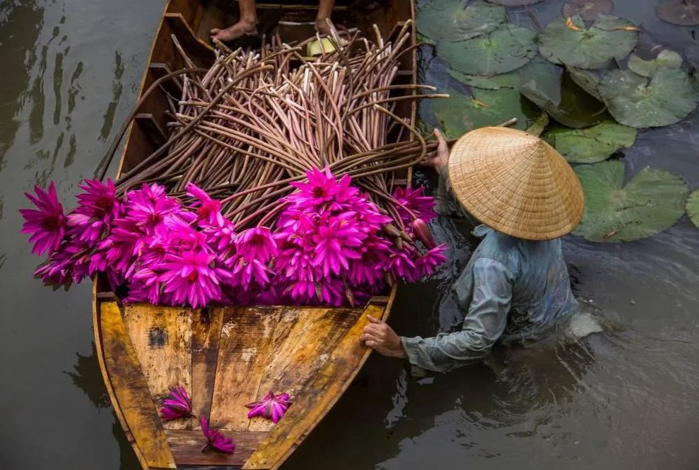 Nét quyến rũ của đồng bằng sông Cửu Long của Việt Nam vẫn là nét giản dị của cuộc sống sông nước, chợ nổi và vùng đất nông nghiệp trù phú. Ảnh: Getty Images