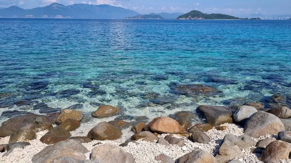 32 min 6 - Cận cảnh san hô chết hàng loạt trong vịnh Nha Trang