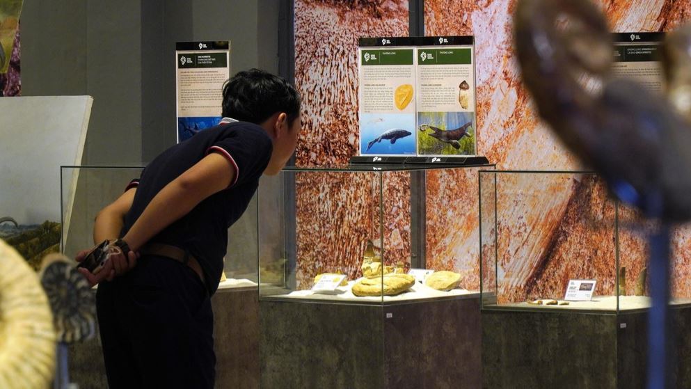 35 min 5 - Phiến đá cổ có niên đại ‘khủng’ 2,9 tỷ năm được trưng bày tại Huế