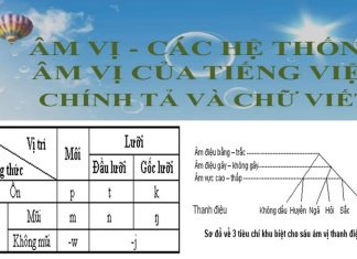 Âm vị và các hệ thống âm vị tiếng Việt Âm vị và các hệ thống âm vị tiếng Việt