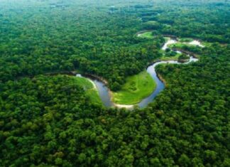 Dài thứ 2 thế giới, nhưng con sông này không hề có một cây cầu bắc qua! Khoa học tiết lộ lý do không ngờ Dài thứ 2 thế giới, nhưng con sông này không hề có một cây cầu bắc qua! Khoa học tiết lộ lý do không ngờ