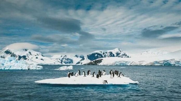 Sông băng Nam Cực tan nhanh nhất trong 5.500 năm, lời cảnh báo thảm họa