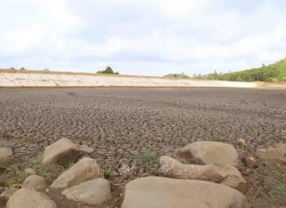 Khắc phục suy thoái đất, chống biến đổi khí hậu
