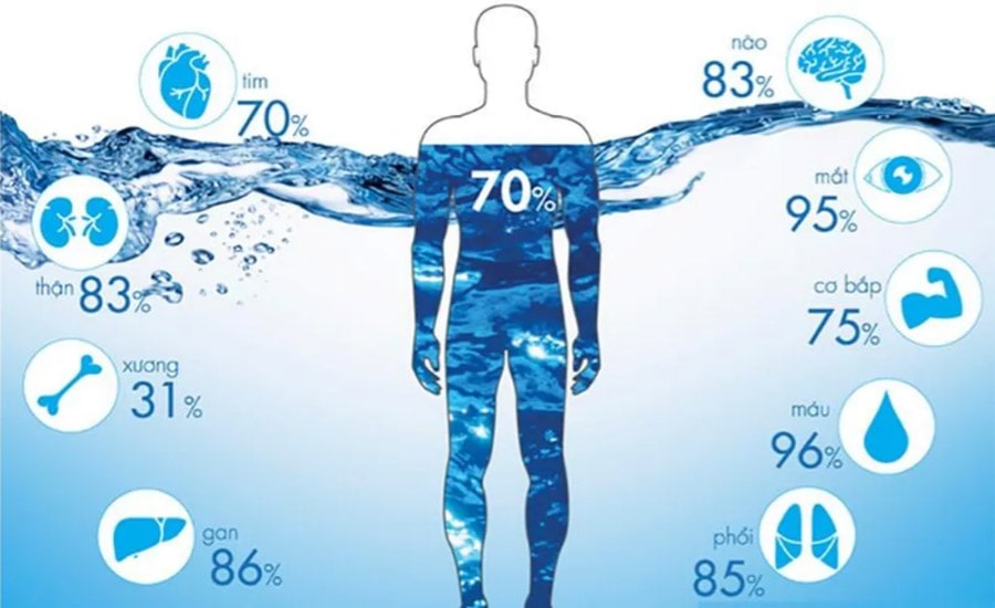 Nên uống bao nhiêu lít nước mỗi ngày để tốt cho sức khỏe?