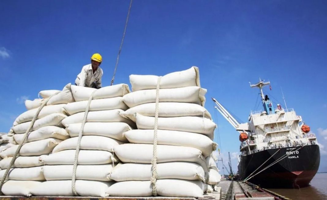 Quy định khi xuất khẩu gạo vào thị trường Bắc Âu doanh nghiệp cần tuân thủ