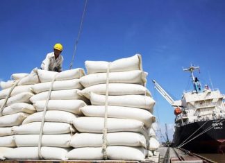 Quy định khi xuất khẩu gạo vào thị trường Bắc Âu doanh nghiệp cần tuân thủ
