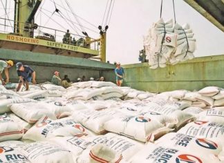 Cơn sốt giá lan trên toàn cầu, Việt Nam sở hữu ‘kho hàng’ 28 triệu tấn