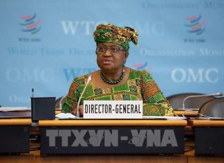 WTO nhấn mạnh tầm quan trọng của thương mại xanh