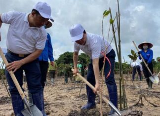 Chỉ một Trái đất - cùng chung tay bảo vệ hành tinh xanh