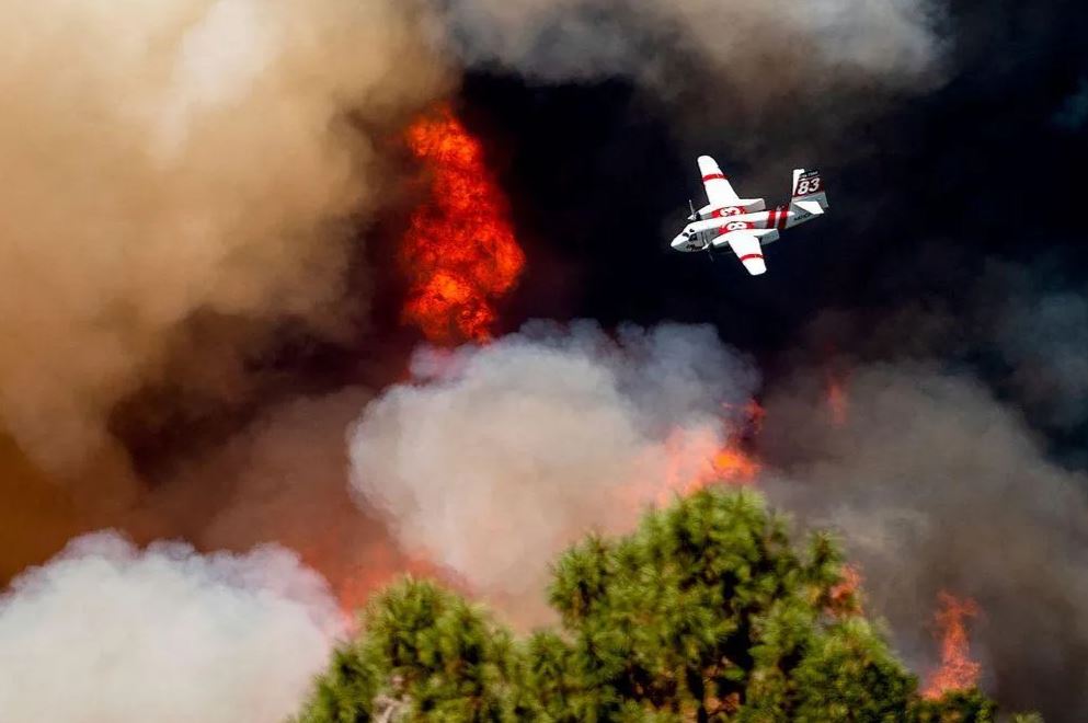 Ảnh: Noah Berger / AP Ảnh: Noah Berger / AP